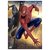 Spiderman 3 (2007) DVD